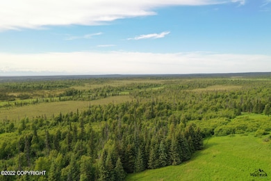 Alaskan Wildwood Ranch(r) P2 (4)