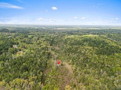 Birds eye view of property featuring a forest view