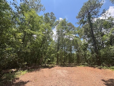 5301 Mt Pleasant Church Rd, Macon, GA 31216 - photo 3