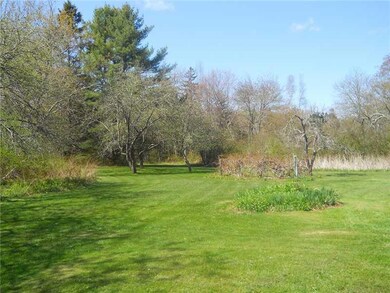 Yard/Garden.