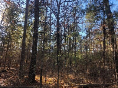 0 Highway 160 unit 21090372, Plain Dealing, LA 71064 - photo 3