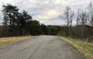 Lots 6, 7, 8 Bear Ridge unit Kodiak Drive, Milton, WV 25541 - photo 3