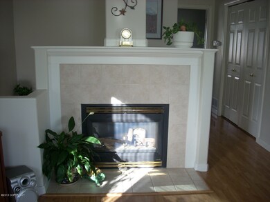 Fireplace (2)