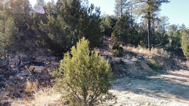 1905 Pine Drive