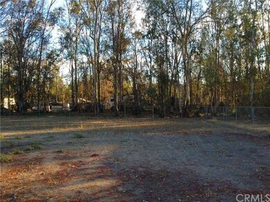Large Lot with Eucalyptus Trees Surrounding