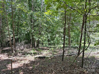 547 Stewart Rock Rd, Stony Point, NC 28678 - photo 7