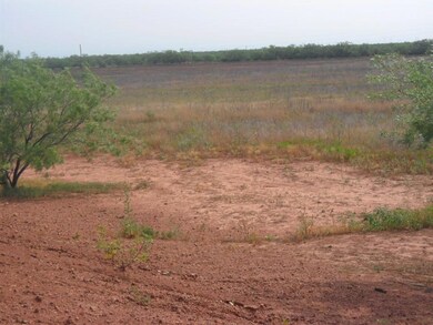 View of local wilderness featuring a rural view