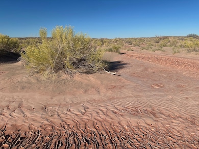 Tbd Unnamed Dirt Rd, Sun Valley, AZ 86025 - photo 7