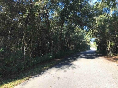 xx 3 Sisters Rd, Crawfordville, FL 32327 - photo 6