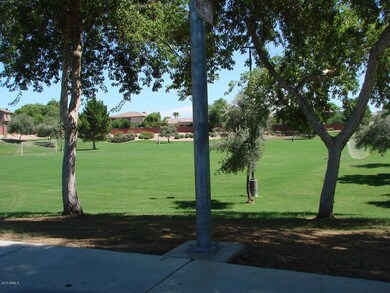 SOCCER FIELD