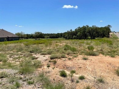 1000 Sky Rd, Weatherford, TX 76087 - photo 4