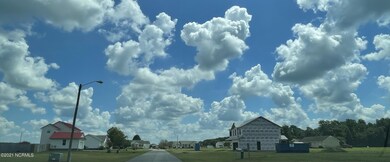 IMG-0446
