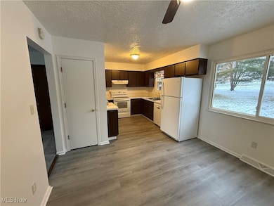 12827 Hametown Rd, Doylestown, OH 44230 - photo 4