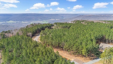 3940 Crockett Point, Jasper, TN 37347 - photo 7