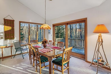 96 Sunfish Ct, Davis, WV 26260 - photo 5