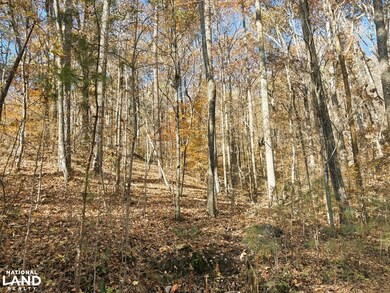 0 Pocket Rd, Lafayette, GA 30728 - photo 6