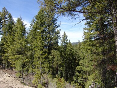 Wooded Parcel
