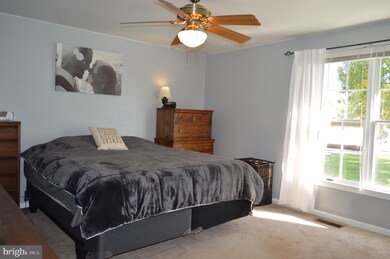 3137 Bullfrog Rd, Taneytown, MD 21787 - photo 7