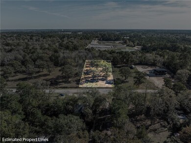 5901 Highline Dr, Montgomery, TX 77316 - photo 6