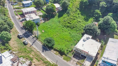 0 Carr 414 Camino Mortero, Rincon, PR 00677 - photo 2