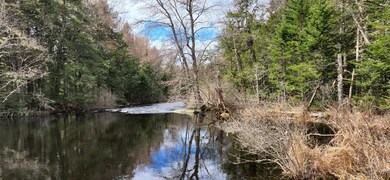 Webb Brook 4