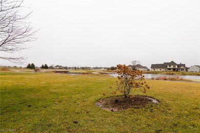 417 U s Grant St, Lagrange, OH 44050 - photo 4