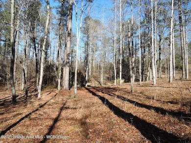 0 Sipsey Overlook Rd unit 21-307, Double Springs, AL 35553 - photo 6