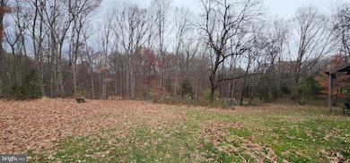 1064 Strasburg Rd, Front Royal, VA 22630 - photo 5