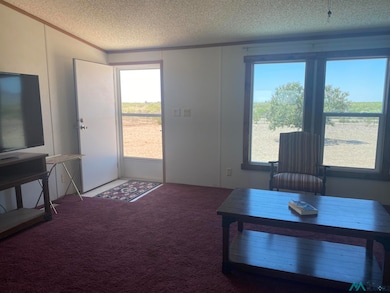 15835 Monte Vista Rd SE, Deming, NM 88030 - photo 4