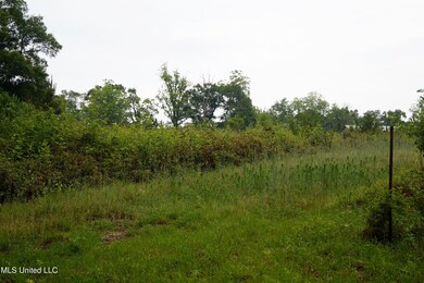 181 Jub Hickman Rd, Perkinston, MS 39573 - photo 6