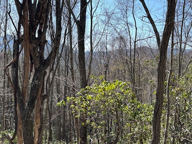 TBD Laurel Ln, Nantahala, NC 28781 - photo 3