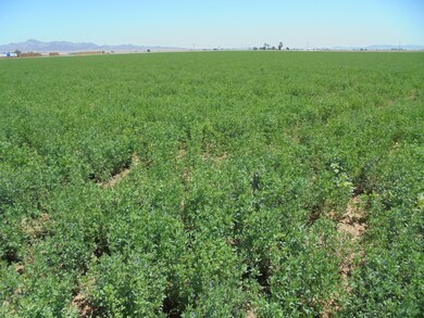 141 Water Toll Acres On 8th Ave, Blythe, CA 92225 - photo 3