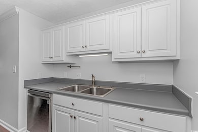Kitchen with sink, stainless steel dishwasher, orn