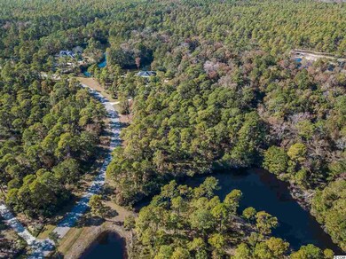 Lot 146 Ocean Lakes Loop unit Prince George Ocean, Pawleys Island, SC 29585 - photo 7