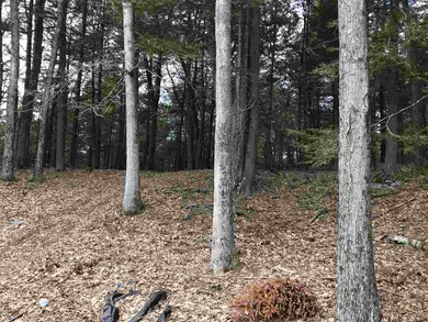 21 S Pine Banks Rd, Putney, VT 05346 - photo 4