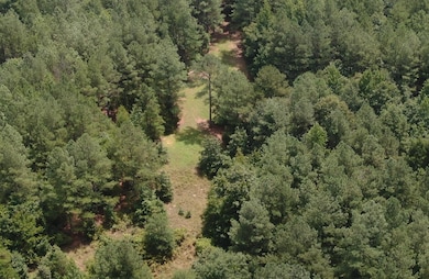 0 Cr 437 unit 24-2709, Ashland, MS 38603 - photo 5