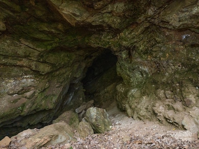 0 Shoal Ridge Ln unit 3, Union Mills, NC 28167 - photo 3