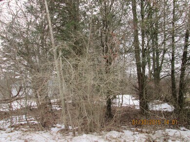 7834 Youngren Rd, Three Oaks, MI 49128 - photo 4