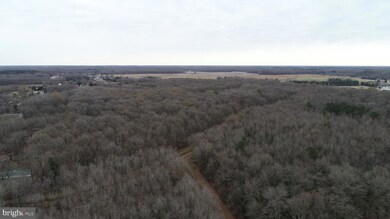 5690 Mud Mill Rd, Camden Wyoming, DE 19934 - photo 6