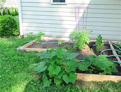 Garden at Back of House