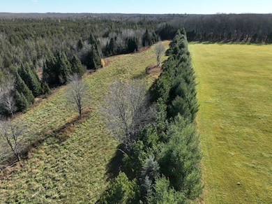 Eben-Trenary Road Lot unit WP001, Trenary, MI 49891 - photo 5