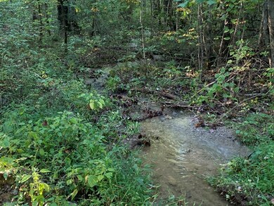 43.93 Ac Thomas Springs Rd, Crossville, TN 38572 - photo 2