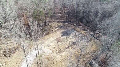 207 Windsor Ridge, Oxford, MS 38655 - photo 4