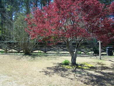 View of back yard