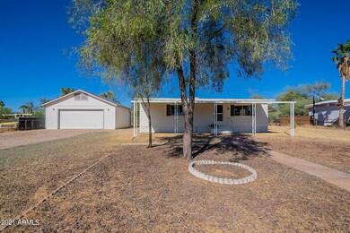 LARGE MATURE SHADE TREE IN FRONT YARD