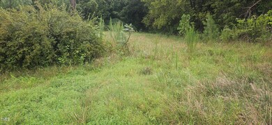 4944 Davis Rd, Winston Salem, NC 27105 - photo 5