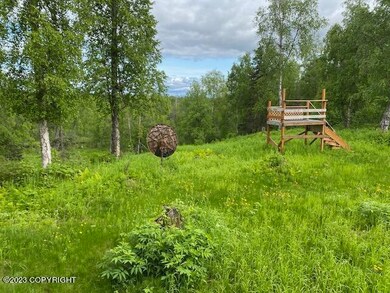 20224 S Hugo Loop, Trapper Creek, AK 99683 - photo 3