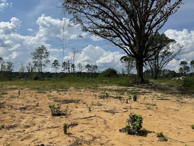 0 Busy Corner Rd, Gloster, MS 39638 - photo 2