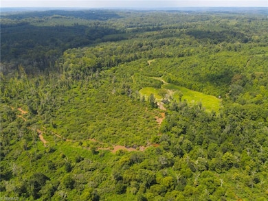 252 Palm Rd, Reidsville, NC 27320 - photo 6