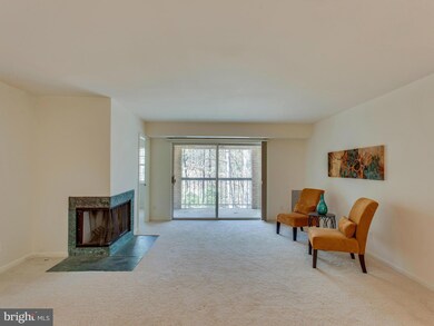 5918 Cove Landing Rd unit 303, Burke, VA 22015 - photo 5